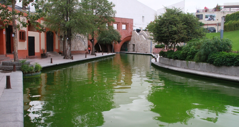 El agua del Paseo Santa Lucía luce de color verde